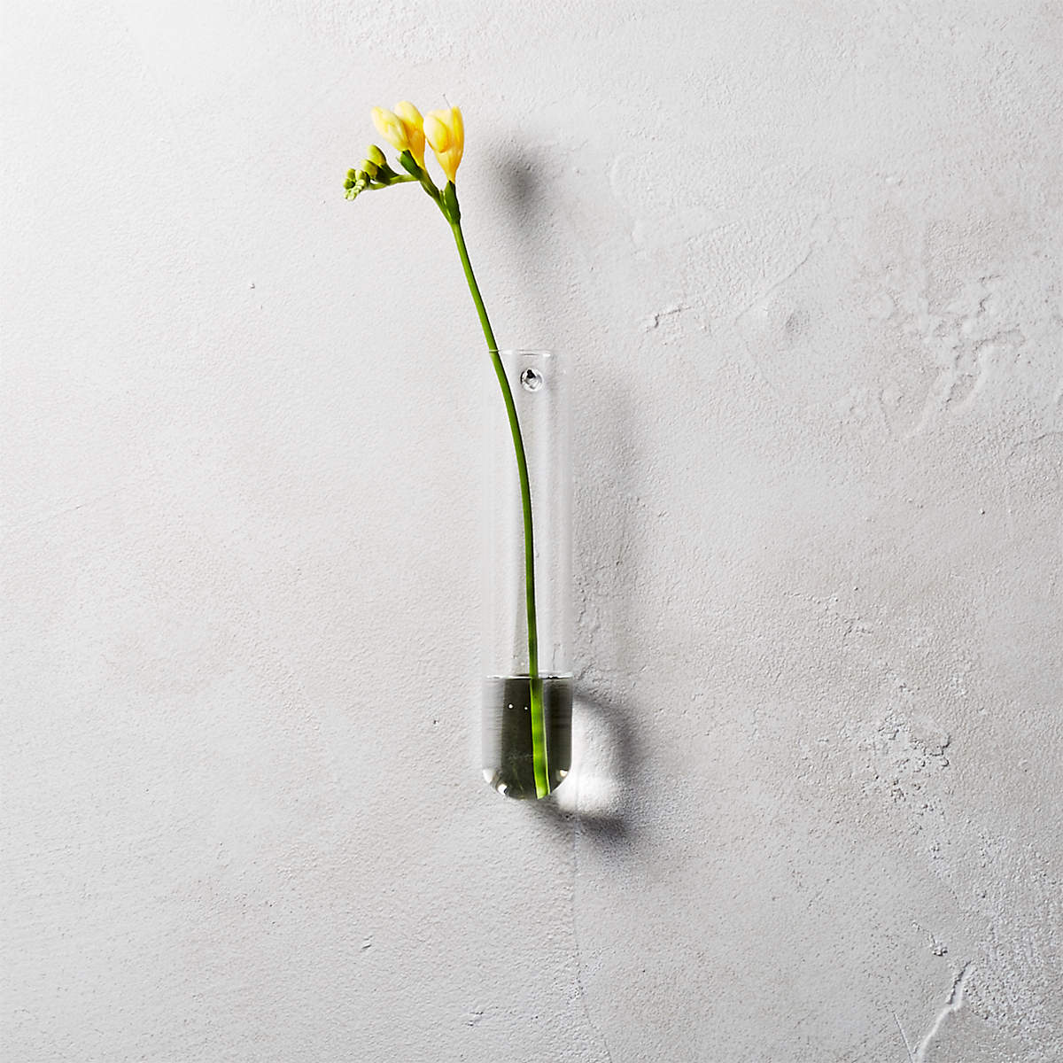 Dual Tube Wall Vase