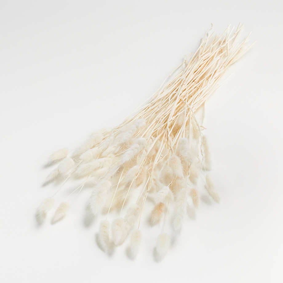 Bunny Tail Stems - Imagen 3
