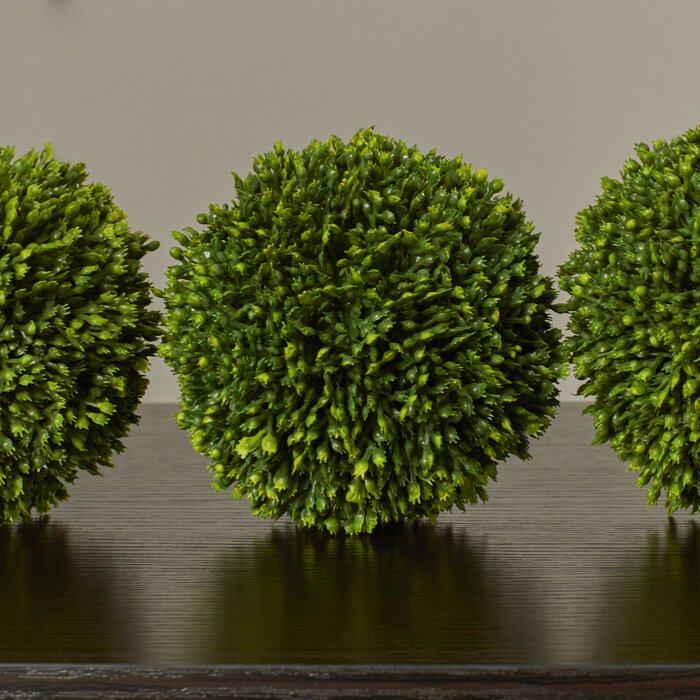 TOPIARY SET - STYLED | PANAMA