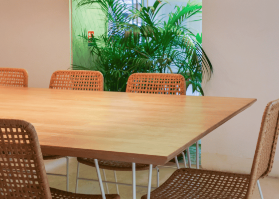 Decoración con Elementos Sostenibles
